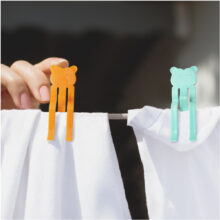 2413_1.jpg 2413_1.jpg